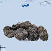 بكج أساسيات 10 في 1