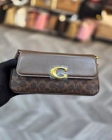 بني نقش