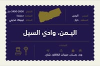 اليمن وادي السيل - ٢٥٠ غرام