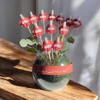 فازة اعواد للتولات زجاجية 12 حبات