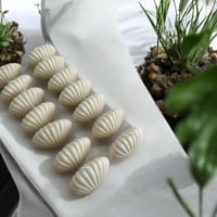 توزيعاتت شموع الصدفة معطرة بثيم