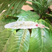 فاصل المحصف بالريزن باقي سعر وصور