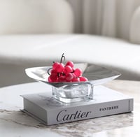 ستاند تقديم