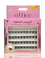 لونا 11