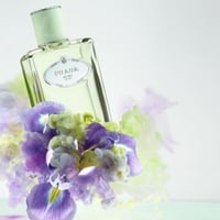 عطر برادا ايرس او دو بارفيوم 100مل