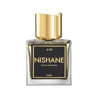 عطر نيشاني اني اكسترايت دو بارفيوم 100مل