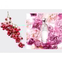 عطر بليجر استي لودر او دو بارفيوم 100مل