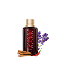 مستوحى من بوس سنت الكسير