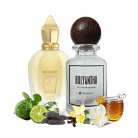 XJ 1861 Naxos Xerjoff - بديل عطر ناكسوس زيجروف للج...