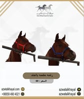 رشمه مطعمه بالجلد