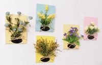 ديكور نبات جداري