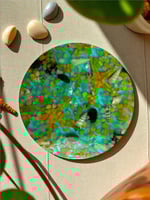 كوستر البحر