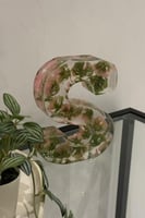 دورة تعليم فن الريزن ( الدوره خاصه للفتيات فقط )