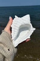 صدفه وتحفه فخمه من الكونكريت ( استعمالات متعدده )