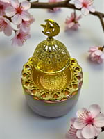 مبخره دائريه ريزن