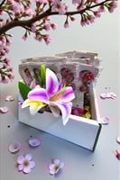 تنسيق توزيعات حسب الطلب ( مستكه ، زيوت عطريه)