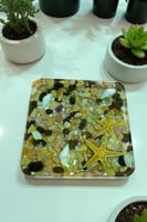 كوستر البحر