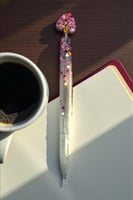 دفاتر ريزن + قلم