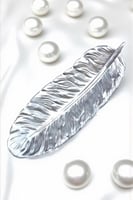 صحن الريشه ( استخدامات متعدده )