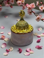 مبخره دائريه ريزن