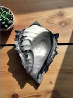 صدفه وتحفه فخمه من الكونكريت ( استعمالات متعدده )