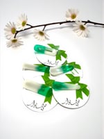 مشابك شعر ( توزيعات اليوم الوطني )