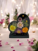 ايطارت صور ريزن