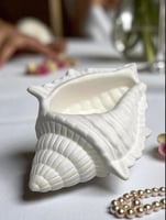 صدفه وتحفه فخمه من الكونكريت ( استعمالات متعدده )