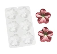 قالب سيليكون - زهرة الياسمين