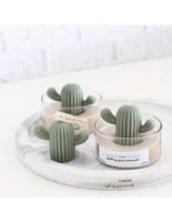 قالب سيلكون - صبار