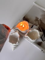 قالب سيلكون - صدفة