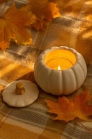 قالب سيليكون - علبة اليقطين