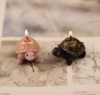 قالب سيلكون - سلحفاه