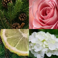 زيت عطري أورجان