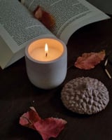 قالب سيليكون - علبة البلوط