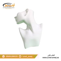 مجسم عرض اكسسوارات