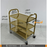 عربة تقديم صغير لون ذهبي صغير 40*75