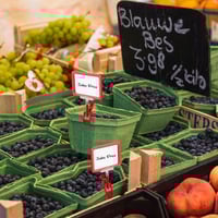 استاند a5 بلاستيك قاعده مساك