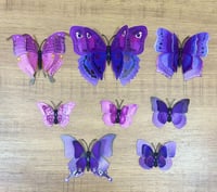 فراشات زينه