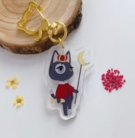 ميدالية سيد قط