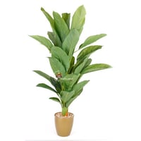 شجرة بمركن ذهبي طول 150 سم