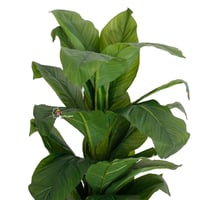 شجرة صناعي بمركن لون أبيض ارتفاع 150 سم