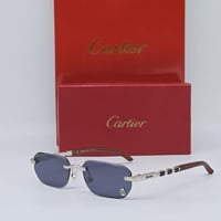 نظارت كارتير مع الملحقات