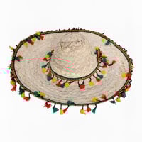 قبعة مصنوعه من القش