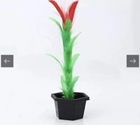 الوردة السحرية خدعة ظهور الزهور من خلال 5 قطع من س...