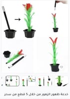 الوردة السحرية خدعة ظهور الزهور من خلال 5 قطع من س...