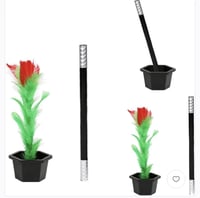 الوردة السحرية خدعة ظهور الزهور من خلال 5 قطع من س...