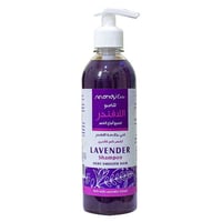 شامبو اللافندر من ماندي كير 400 مل