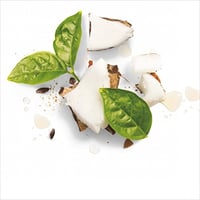 شامبو خلاصة جوز هند من هيربل ايسنز- 400 مل