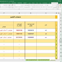 ملف إكسل حساب العمر بالهجري والميلادي